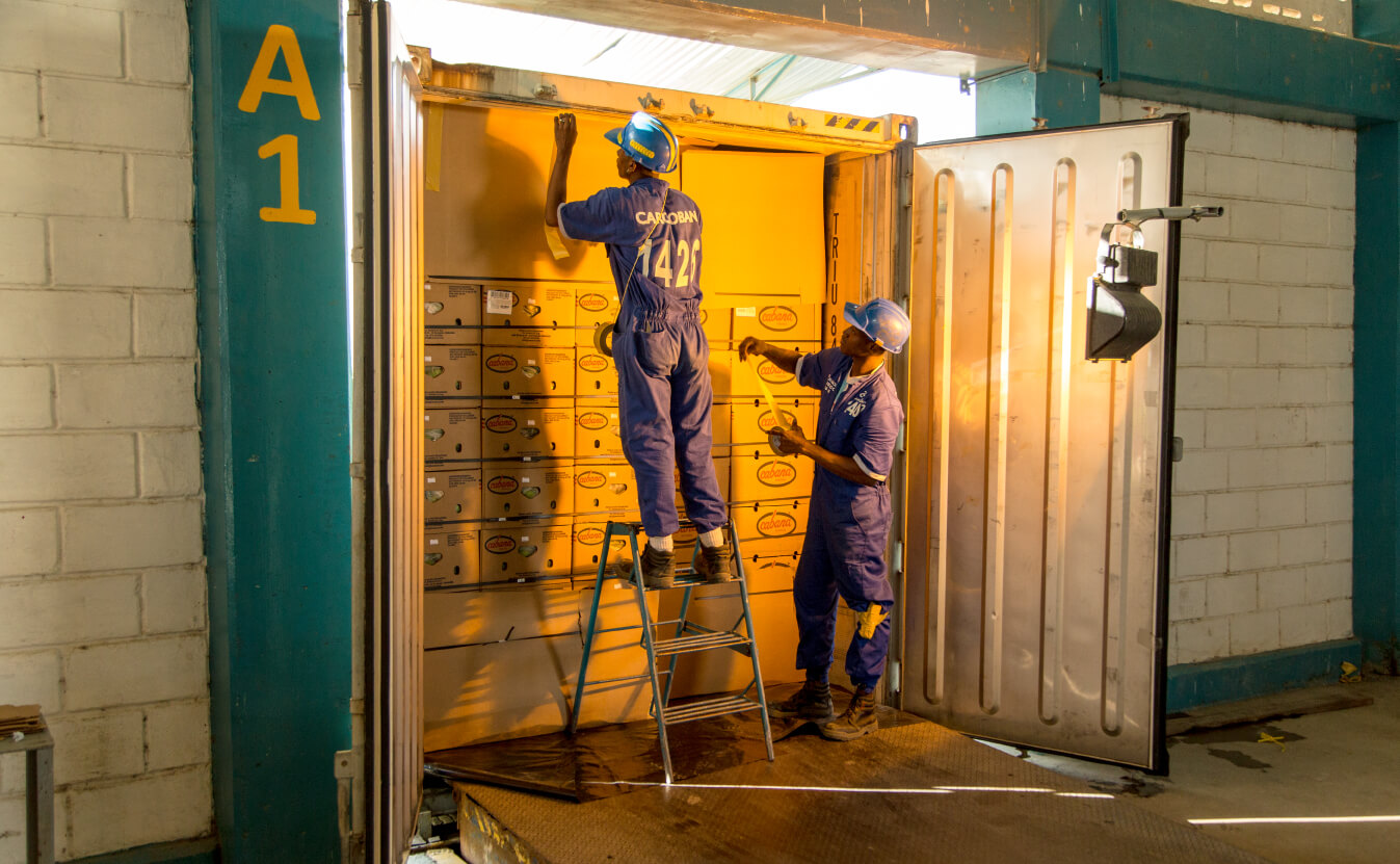 Stuffing/Stripping of dry and refrigerated containers (with refrigeration option).